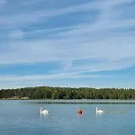 Nuutti Villa Sauvo